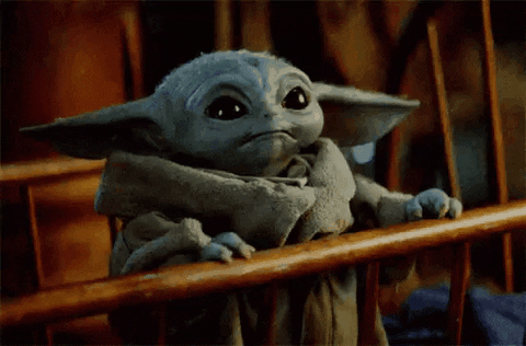 giphy.gif?cid=790b761165ce1aa0534a44570a