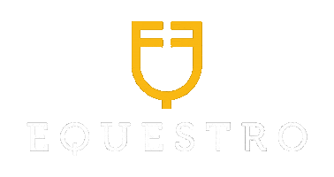 Sport Win Sticker by AmaHorse