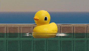 Duck GIF