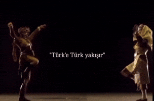 Dance Turkic GIF