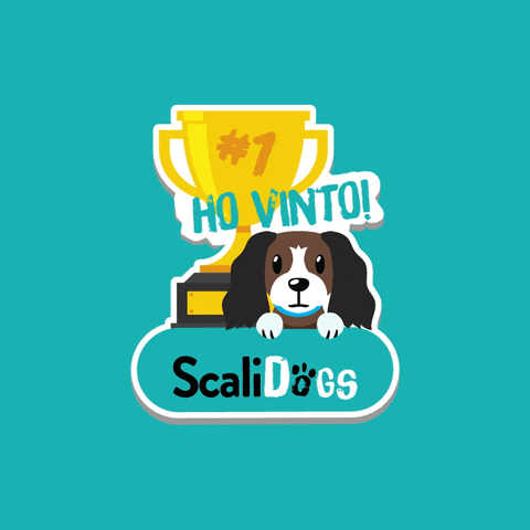 Sport Ho Vinto GIF by Scalidogs
