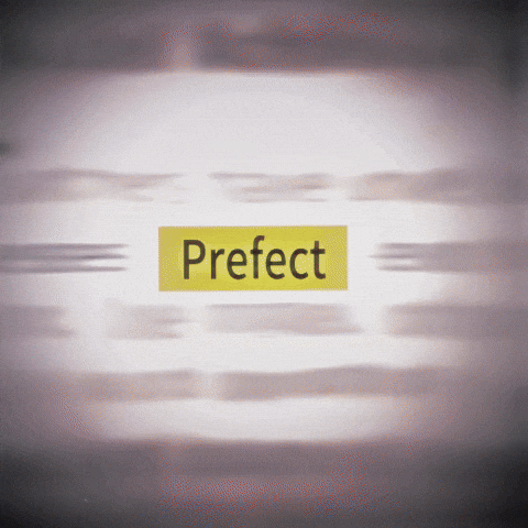 Prefect GIF