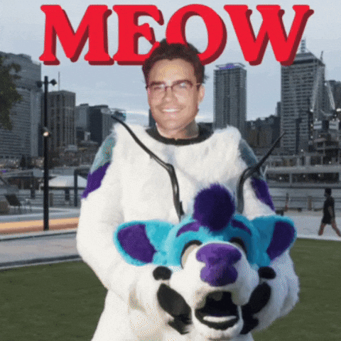 Meow GIF by TodaysSportsHistory