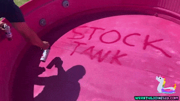 Pool GIF