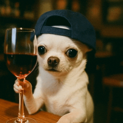 Dog Cheers GIF