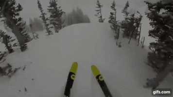 tree jumping off cliff skier GIF