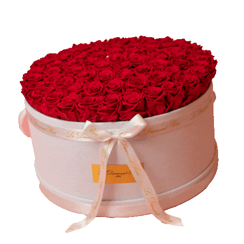 Le Diamant Rose Sticker