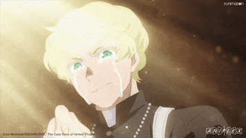 Cry Tears GIF by Funimation