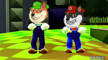 Tdp GIF by The Doge Pound