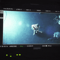 Nothing But Thieves Official Video GIF by RCA Records UK