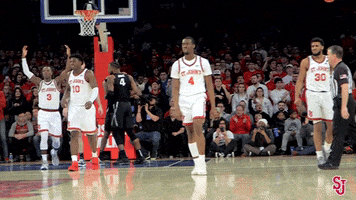 Lets Go Crowd GIF by St. John's Red Storm