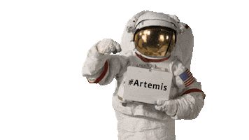 Moon Artemis Sticker by NASA