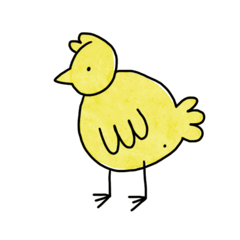Chicken Sticker