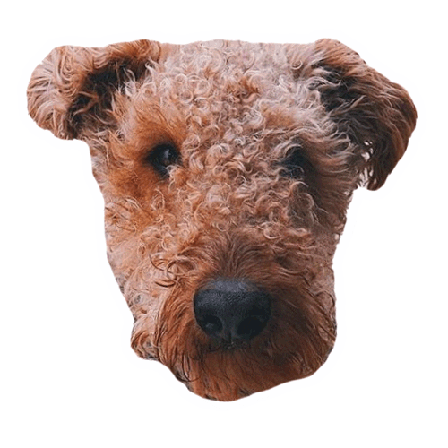 Cape Clasp Sticker