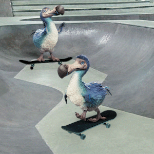 Skate Skateboarding GIF by Dodo Australia