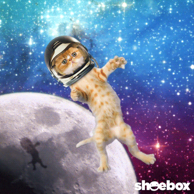 Cat floating in outer space GIF