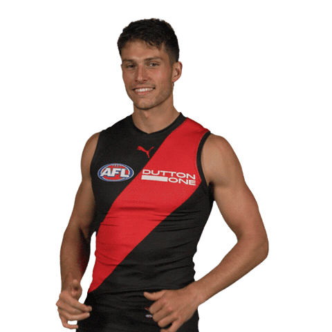Dons Bombers Sticker by Essendon FC