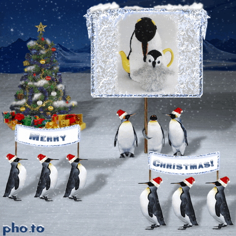 TeaCosyFolk christmas snow winter penguins GIF