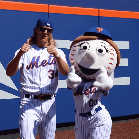 delta thumbs up mets you got it ny mets GIF