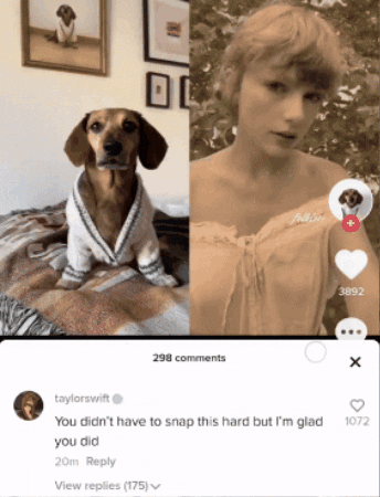Taylor Swift GIF