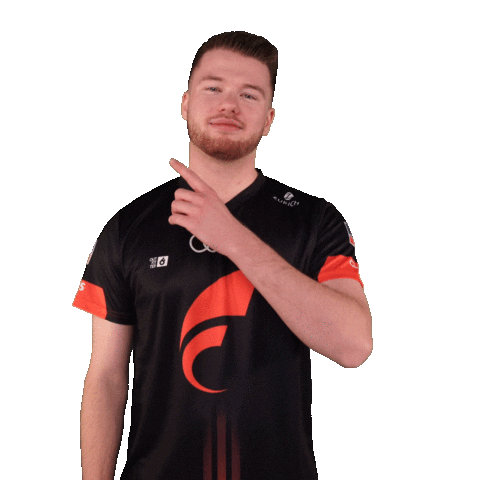 Pointing Fifa20 Sticker by STARK ESPORTS