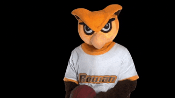 Ncaa Mascot GIF by Rowan University