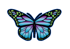 Rainbow Butterfly Sticker by CATALINA ESTRADA