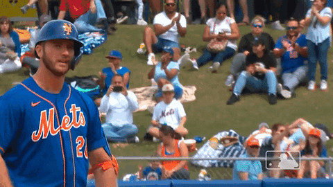 Ny Mets Team GIF by New York Mets - Find & Share on GIPHY