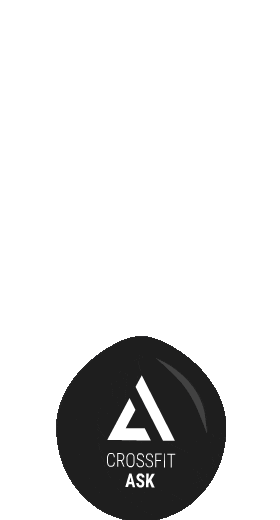 Wallball Sticker by crossfitask