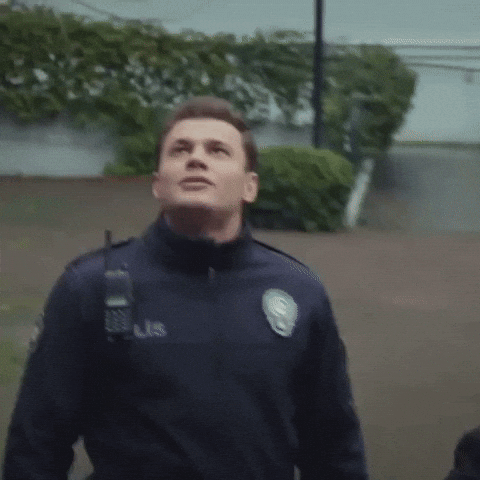 Police GIF