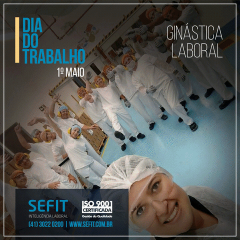 Dia Do Trabalho Sefit GIF