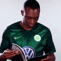 read france GIF by VfL Wolfsburg