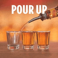 bottoms up alcohol GIF by Fireball Whisky