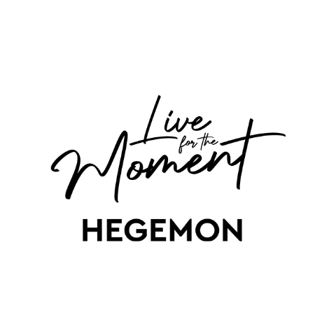 HegemonTravel Sticker
