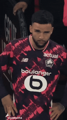 Ligue 1 Football GIF