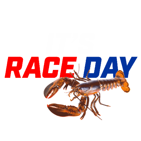 New Hampshire Motor Speedway Sticker