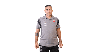 Switzerland Trainer Sticker by Swiss Football Association