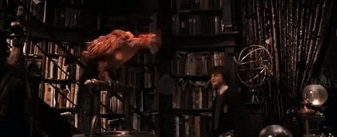 nickibarrett  GIF