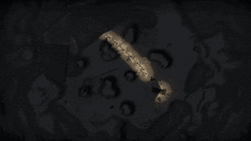 Lethal Company GIF