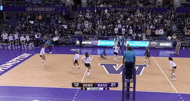Ncaa Ncaachampionship GIF by Brown Volleyball