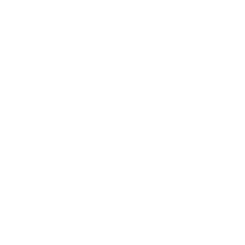 bauschlomb korea Sticker