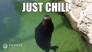 Chill Chilling GIF by ProBit Global