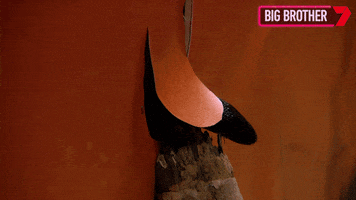Slither Big Brother GIF by Big Brother Australia