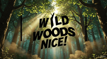 GIF by Holiday-Rental-Experts.com