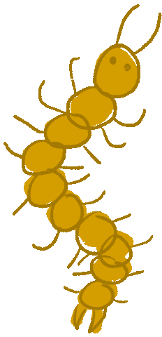 Bugs Centipede Sticker