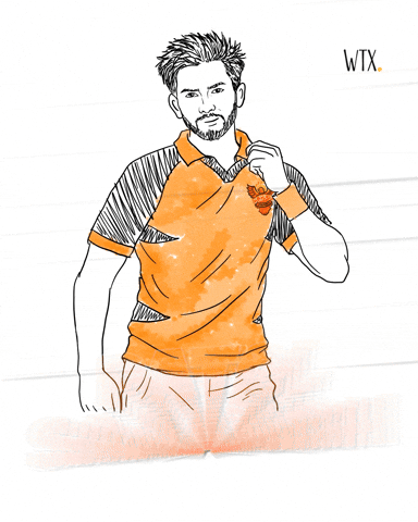 Sunrisers Hyderabad Ipl GIF by WTXINDIA
