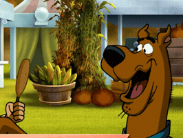 Excited Corn Dog GIF by Scooby-Doo