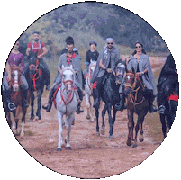 Ride 4 Far Sticker