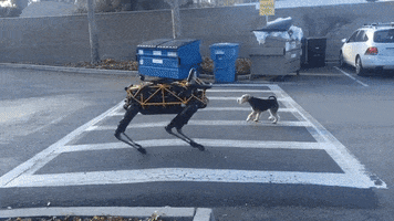 andriybrodetskyi  GIF