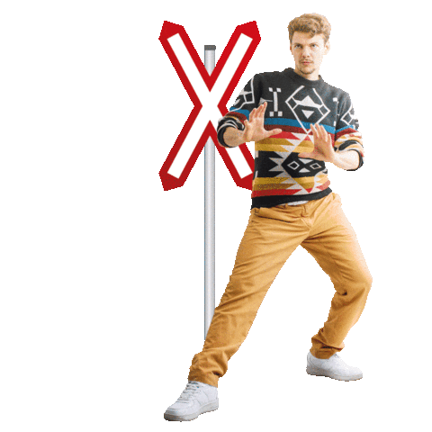 Niederösterreichbahnen Sticker